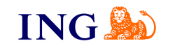 Das Bild zeigt das ING-Logo mit den dunkelblauen Buchstaben ING neben einem orangefarbenen Löwen, der mit dem Gesicht nach vorne vor einem hellgrauen Hintergrund liegt - ein typisches Branding, wie man es in einem Nutzungsdauer-Gutachten finden könnte.